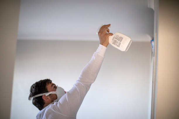 Best Home Mold Removal  in Edgar, WI
