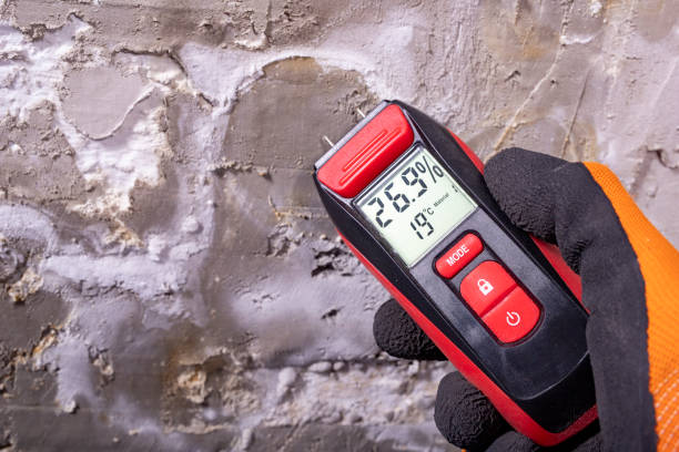 Best Attic Mold Removal  in Edgar, WI