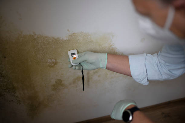 Best Mold Testing  in Edgar, WI