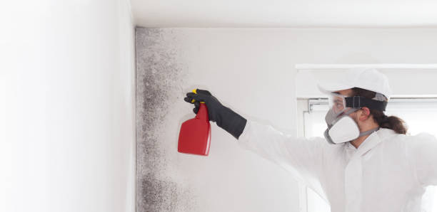 Best Mold Removal Process  in Edgar, WI
