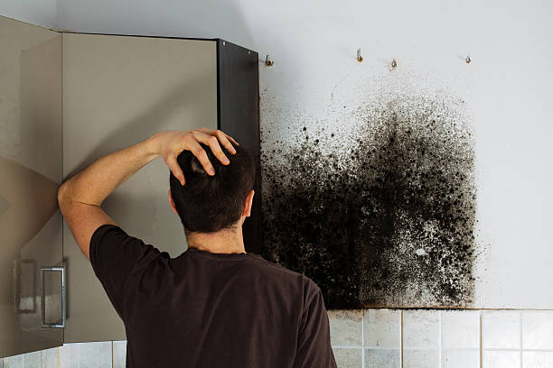 Best Crawl Space Mold Removal  in Edgar, WI